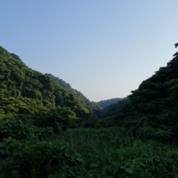 Ogusu-yama